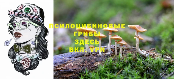 a pvp Балахна