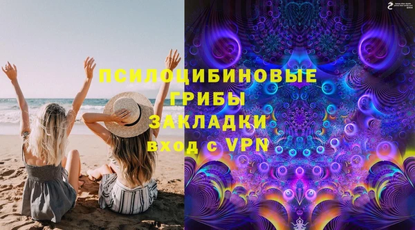 ПСИЛОЦИБИНОВЫЕ ГРИБЫ Баксан