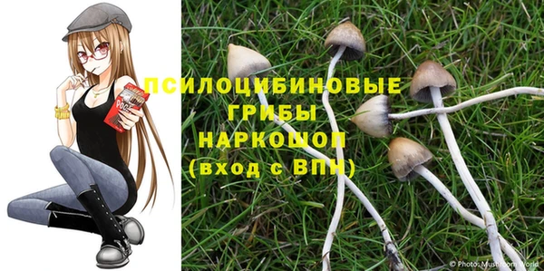 a pvp Балахна