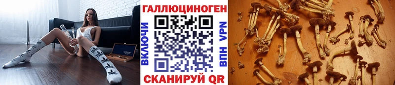 Псилоцибиновые грибы ЛСД  купить   Оса 